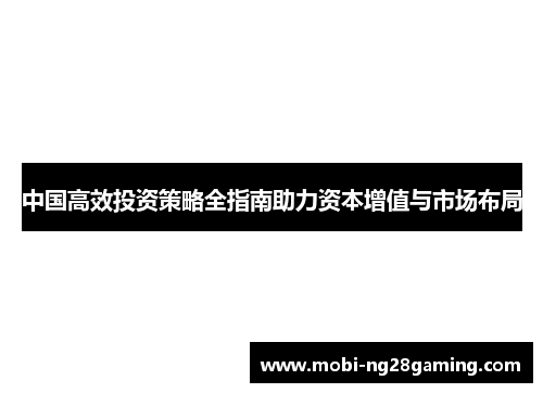 中国高效投资策略全指南助力资本增值与市场布局 中国高效投资策略全指南助力资本增值与市场布局