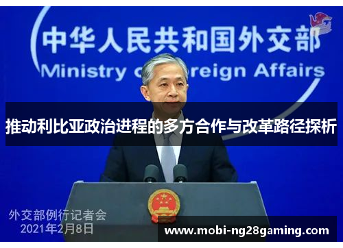 推动利比亚政治进程的多方合作与改革路径探析 推动利比亚政治进程的多方合作与改革路径探析