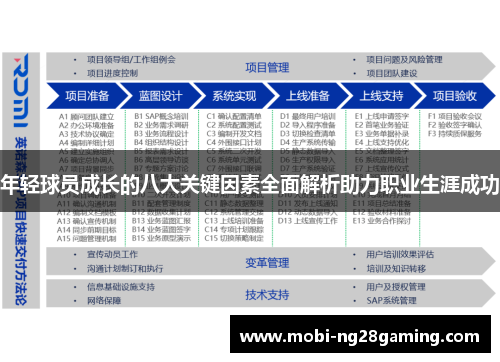 年轻球员成长的八大关键因素全面解析助力职业生涯成功