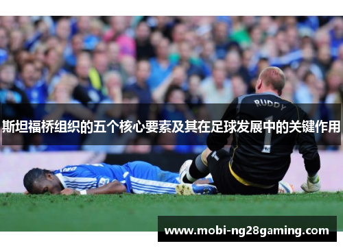 斯坦福桥组织的五个核心要素及其在足球发展中的关键作用