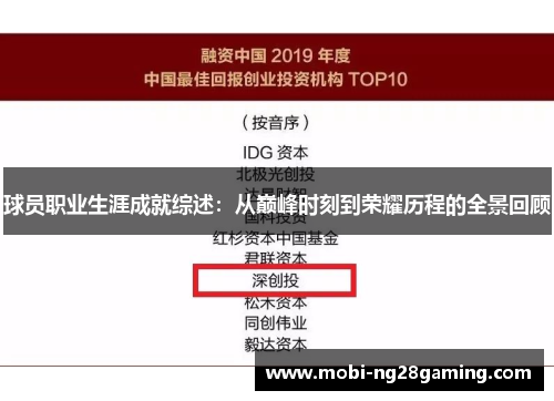 球员职业生涯成就综述：从巅峰时刻到荣耀历程的全景回顾